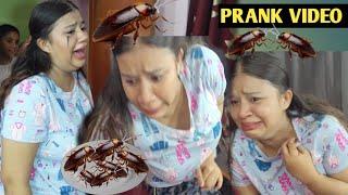 PRANK ON STUTI ll CHOOSE THE GOOD FOOD CHALLENGE ll PRANK VIDEO @BudaBudiVlogs