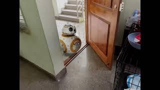 Star Wars in Real life - VFX Demo Reel - Vivara Interactive Studios