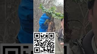 #СТОПБОРЩЕВИК  Всероссийская акция 13 04 24 в Русско-Немецкой Швейцарии