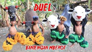 BANTENGAN MALANG VS BANTENG DEMAK | Nadin And Friend MAIN BARONGAN BANTENG  SAMPAI MBEROT DAN KALAP