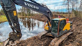 RESTORATION OF THE POND EDGE