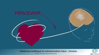 Cohérence cardiaque: la communication Coeur Cerveau