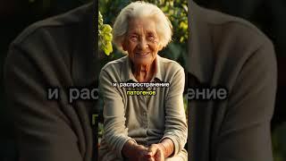 Огурцы больше не болеют  #дача #лайфхаки #рецепт #деревня #огород