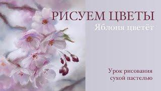 Рисуем красивые цветы. Урок рисования сухой пастелью для начинающих