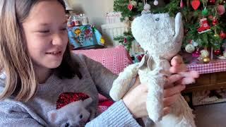 Stitched by Mrs D Vlogmas Day 16 The worst mince pies ever, guinea pigs and an operation for Woh Woh