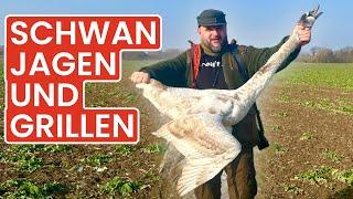 Swan hunting and grilling from the field to schnitzel Klaus grills