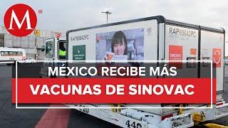 México recibe un millón de vacunas anticovid de Sinovac