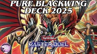 Pure Blackwing Deck 2025! Anti Meta! Ranked Gameplay & Deck Profile! [Yu-Gi-Oh! Master Duel]