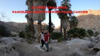 52 Hikes Challenge: Panorama Loop/Fortynine Palms Canyon