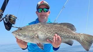 Offshore Bottom Fishing For BIG Grouper & Snapper - SUCCESS!!!