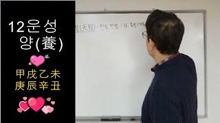 12운성 양(養) 갑술 을미 경진 신축