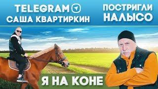 Я НА КОНЕ. ПОСТРИГЛИ НАЛЫСО. КЛУБ САША КВАРТИРКИН В TELEGRAM