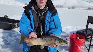 @LipRippinOutdoors Beautiful Brown Trout on Sierra Slammers Mini Jigs