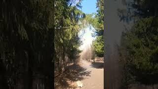 Входим в весну 
