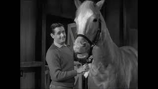 Mister Ed Being Cute / Funny Horse Pt. 1