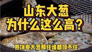 全国最爱吃葱的省份，蔬菜产量全国第一，山东大葱为啥这么高？【科技周周讲故事】