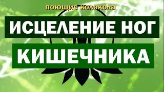 ИСЦЕЛЯЮЩАЯ МУЗЫКА ДЛЯ ЗДОРОВЬЯ НОГ, ПОЯСНИЦЫ, ЖКТ