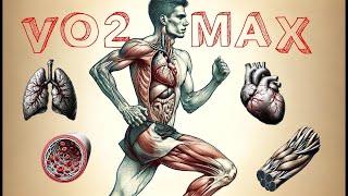 VO2max : Définition, Limitations & Training