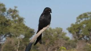 Xudum, Botswana 2010