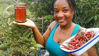 How to Make your Own Fresh Cayenne Pepper Powder/Make Food Your Medicine 