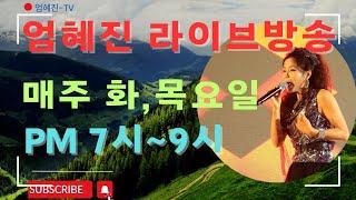 가수 엄혜진 499회 혜진뮤직빡스 #현역가왕엄혜진 #트롯엄혜진 #가수엄혜진 #라이브여왕엄혜진 #엄혜진tv