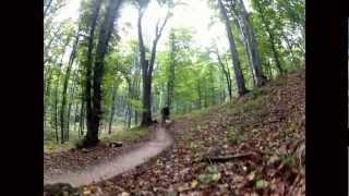 Lasek Wolski MTB 2012  GoPro Hero 2