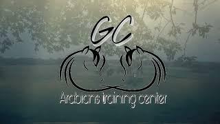 GC Arabians Training Center