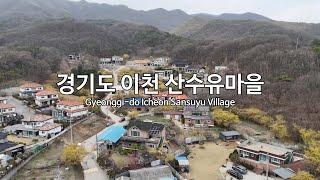 [4K] 경기도 이천 산수유마을(Gyeonggi-do Icheon Sansuyu Village) 드론 영상