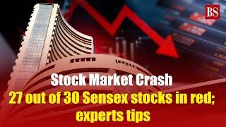 Stock Market Crash: 27 out of 30 Sensex stocks in red; experts tips