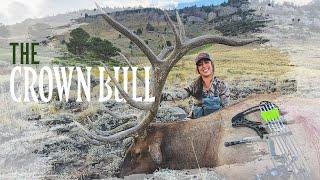 The Crown Bull | Danielle's Giant Elk With a Bow