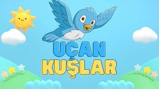 Uçan Kuşlar - Onur Akdoğan (Animasyonlu Çocuk Şarkısı)