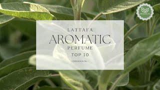 Top 10 Aromatic Perfume - Lattafa