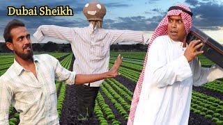 Dubai Sheikh Comedy Version 