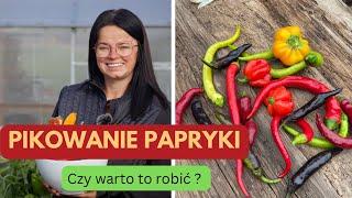 PIKOWANIE PAPRYKI | CZY WARTO TO ROBIĆ ?| Kasia in