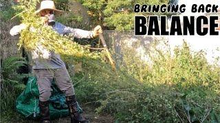 MOWER MAN takes on EXTREME weeds- OVERGROWN restoration push mowing and more