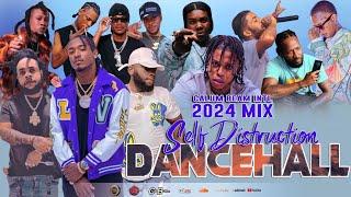 New Dancehall Mix 2024 | Dancehall Mix 2024 | Self Distruction | Jinyus,Chronic law,Skeng,Squash