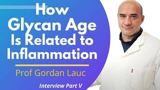 How GlycanAge Is Related To Inflammation | Prof Gordan Lauc Ep 5