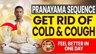 Top 4 Breathing Exercises to Reduce Cough and Cold in One Day | Pranayama Sequence