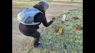 Wandelen Speulderbos Ermelo 11 januari 2025
