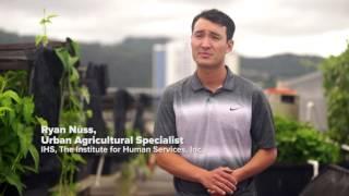 IHS Rooftop Garden & Pre-Employment Training Center
