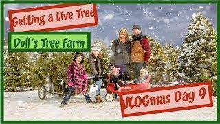 Visiting a Christmas Tree Farm | VLOGmas Day 9