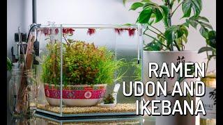 DIY | Nano Planted Betta Fish Aquarium, Ikebana Tank