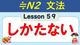 【N2】～てしかたがない（仕方ない、しょうがない） ／059