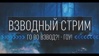 ВЗВОДНЫЙ СТРИМ ВМЕСТЕ С ВАМИ | WotBlitz