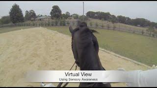 Virtual View: Using Sensory Awareness