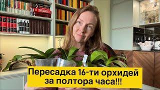 Дана Протасова в прямом эфире: пересажаем всех!!!🫣