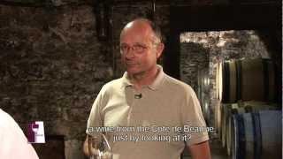 Understanding Burgundy Chablis Grand Crus with Bernard Raveneau