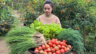 Harvesting dill, lettuce, green onions, and tomatoes to sell at the market - Cooking