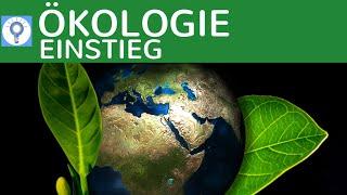 BIOLOGIE NACHHILFE - Ökologie & Umwelt - die neue Serie | Ökologie