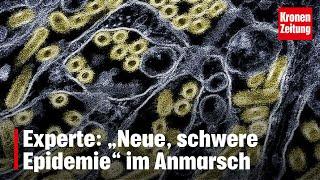 Viruskombination: Experte: „Neue, schwere Epidemie“ im Anmarsch | krone.tv NEWS